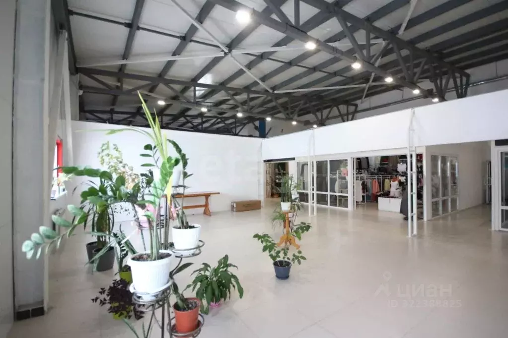 Торговая площадь в Ямало-Ненецкий АО, Новый Уренгой Строителей мкр, ... - Фото 1