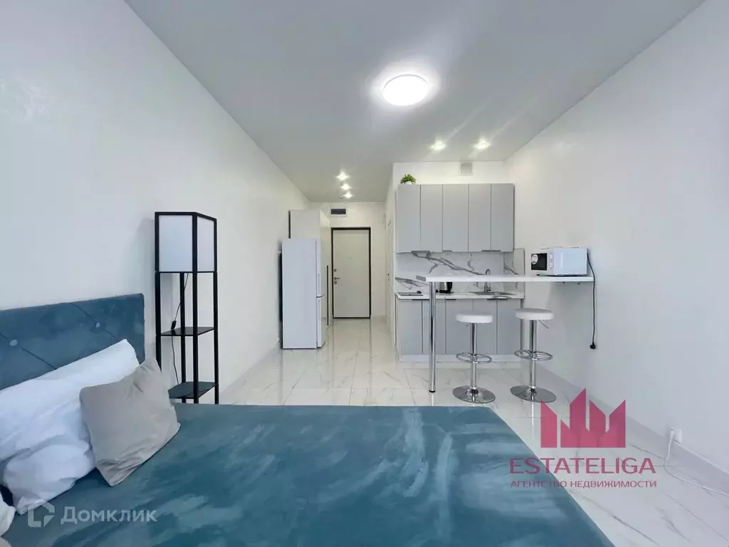 Продаётся квартира-студия, 24.4 м - Фото 0