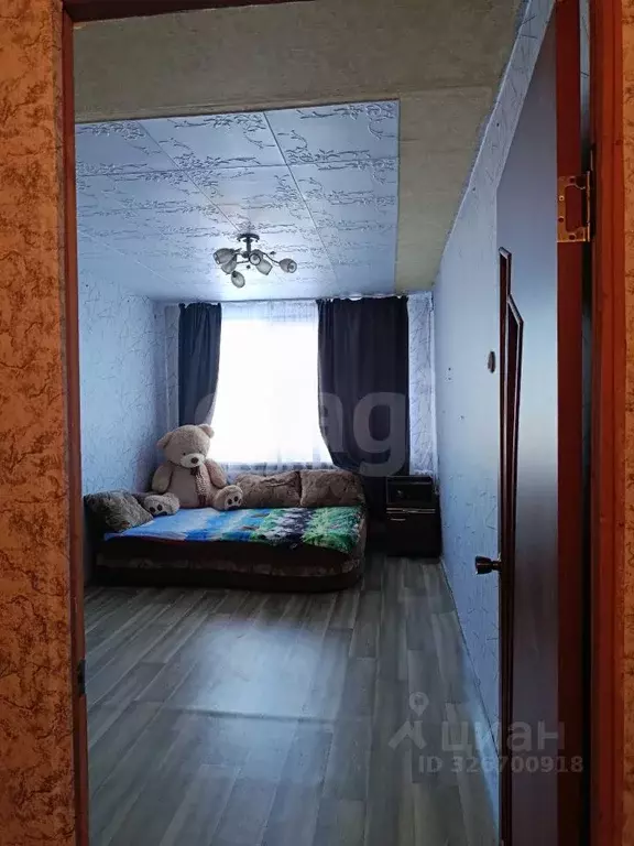 Комната Псковская область, Пыталово Белорусская ул., 18 (36.3 м) - Фото 1