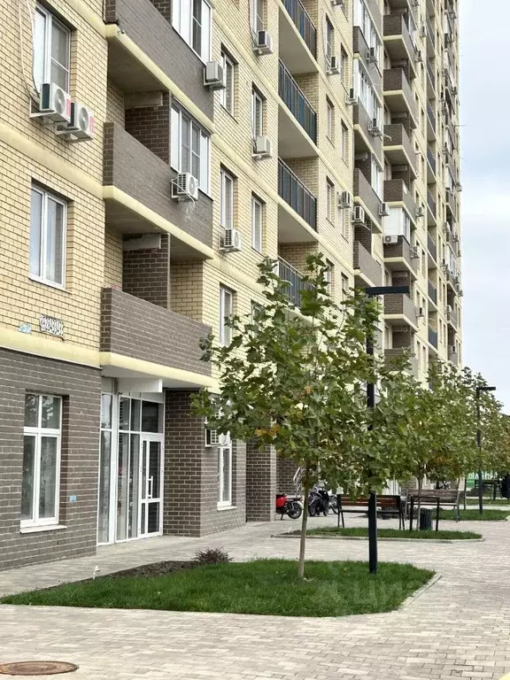 1-к кв. Краснодарский край, Краснодар ул. Летчика Позднякова, 2к19 ... - Фото 1