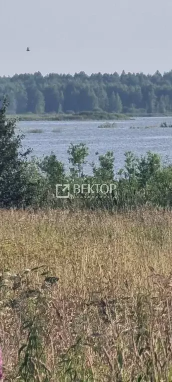 Участок в Ярославская область, Некрасовский муниципальный округ, ... - Фото 2