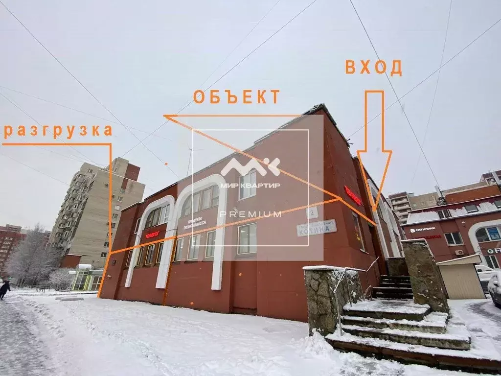 Помещение свободного назначения в Санкт-Петербург ул. Котина, 2 (174 ... - Фото 1