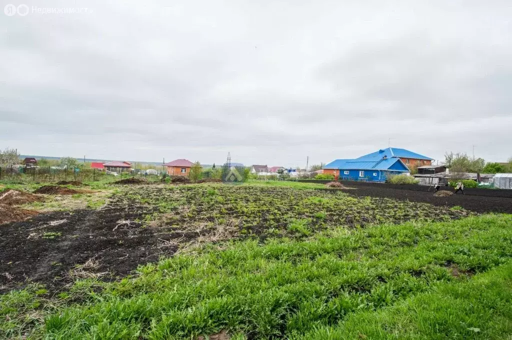 Участок в село Луговое, Луговая улица (8.3 м) - Фото 1