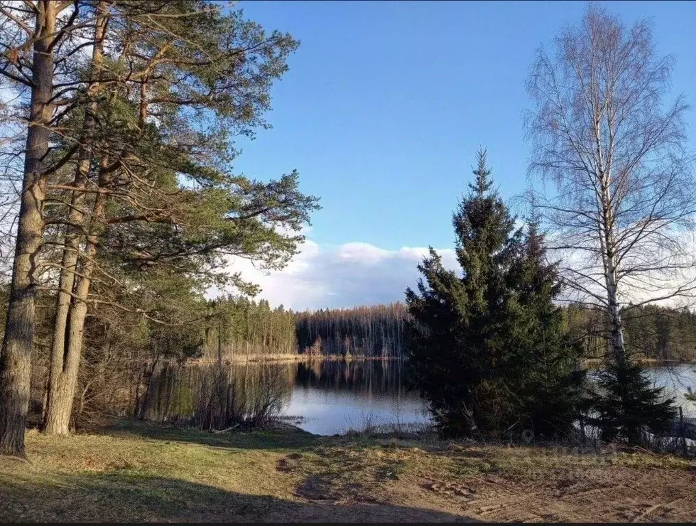 Участок, 11 сот., сельхоз (снт или днп) - Фото 1