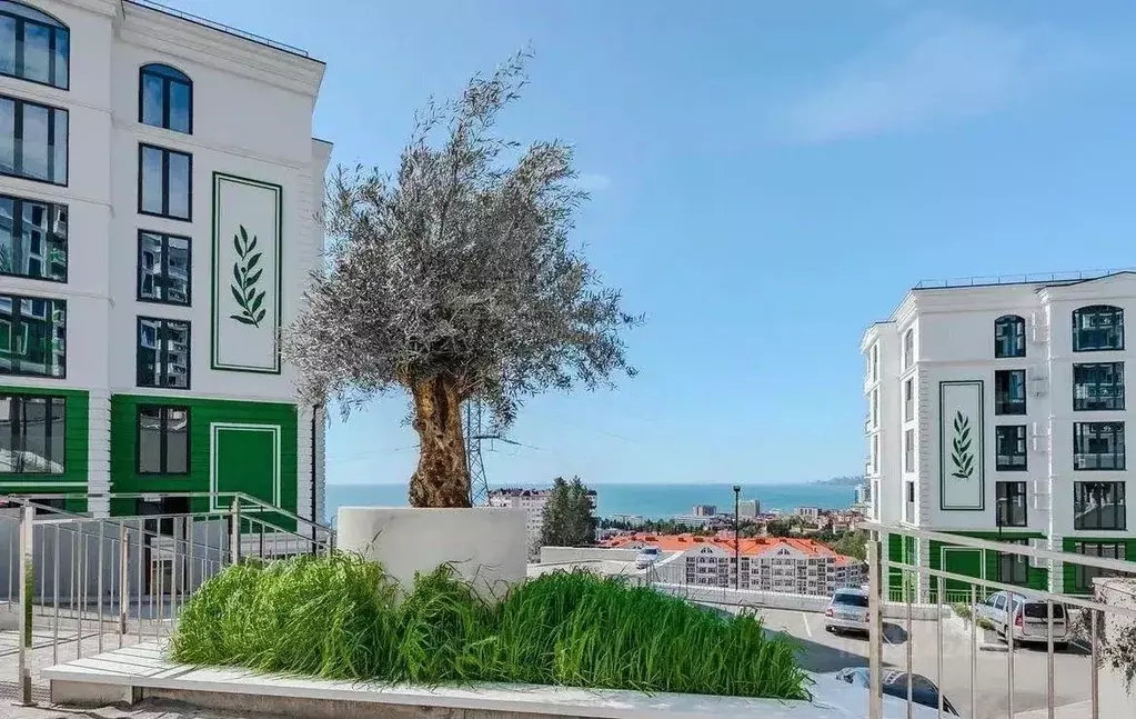 Студия Краснодарский край, Сочи Адлер жилрайон, ул. Ленина, 290/8к3 ... - Фото 2