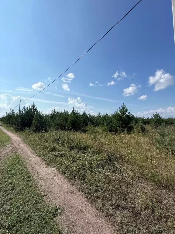 Участок в Кировская область, Слободской район, Бобинское с/пос, д. ... - Фото 1