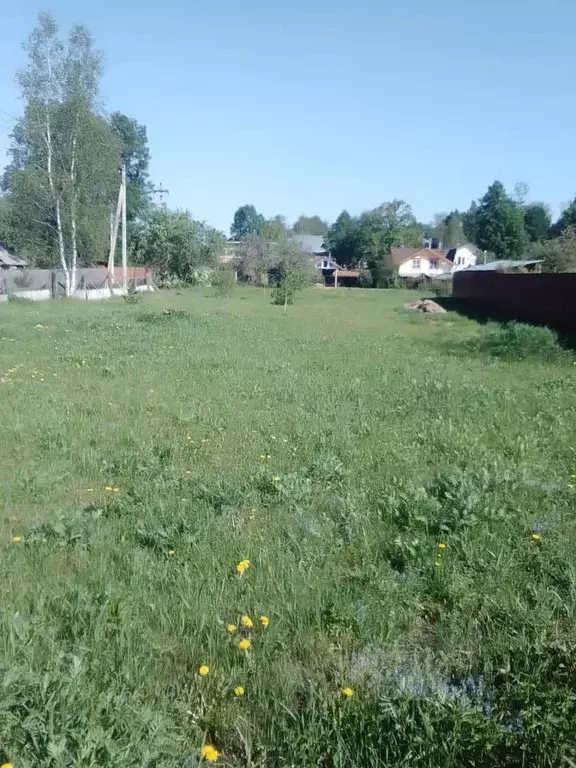 Участок в Владимирская область, Александровский район, Каринское ... - Фото 1