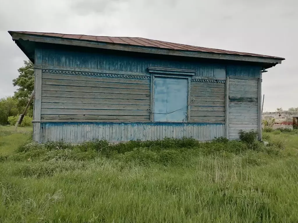 Помещение свободного назначения в Омская область, Калачинский район, ... - Фото 0