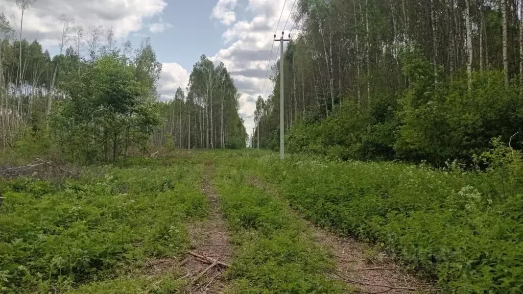 Участок в Владимирская область, Владимир ул. 3-я Сорокинская (8.77 ... - Фото 0