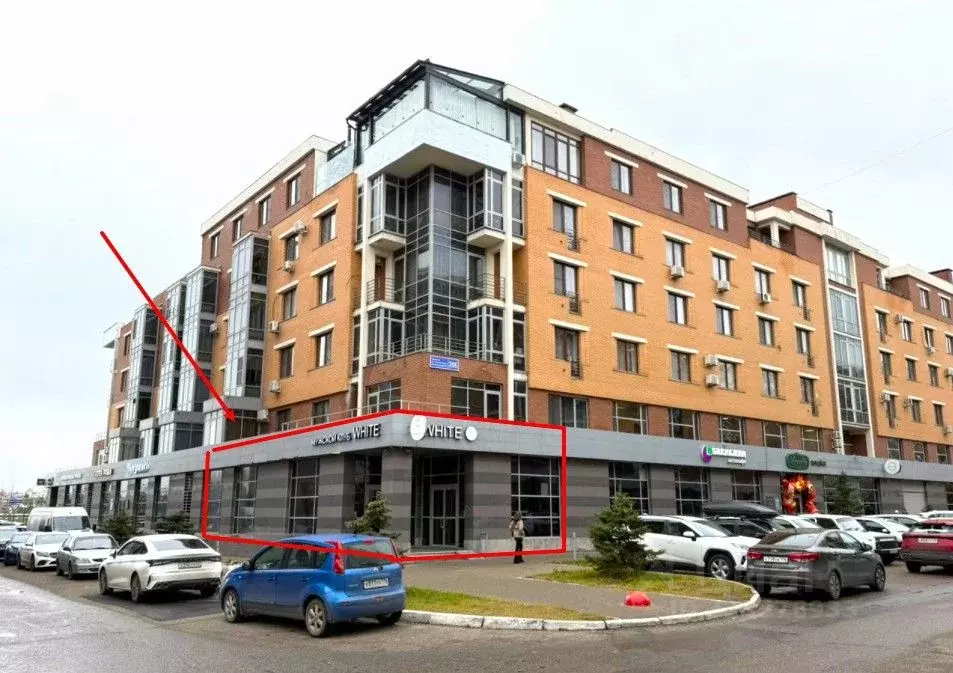 Помещение свободного назначения в Татарстан, Казань Чистопольская ул., ... - Фото 1