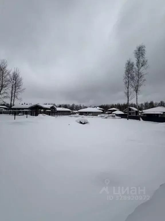 Участок в Московская область, Дмитровский муниципальный округ, с. ... - Фото 1
