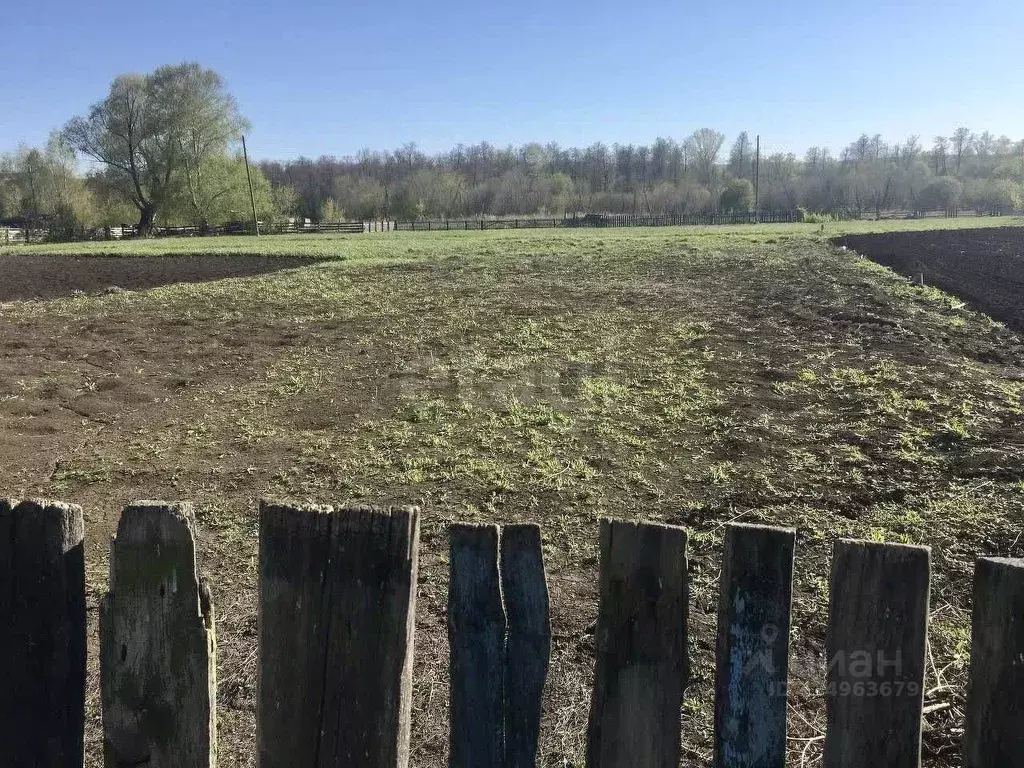 Участок в Башкортостан, Ишимбайский район, с. Кузяново Садовая ул. ... - Фото 2