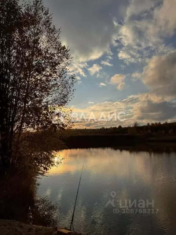 Участок в Нижегородская область, Дальнеконстантиновский муниципальный ... - Фото 0