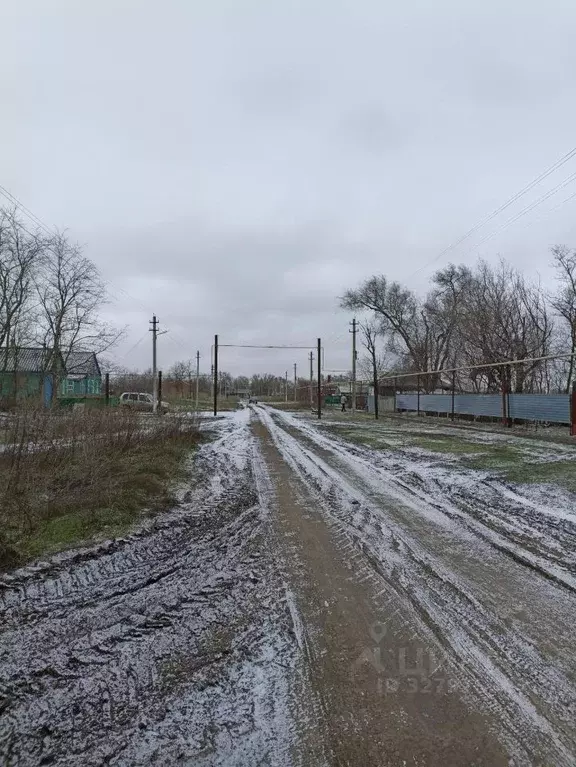 Участок в Ростовская область, Целинский район, с. Средний Егорлык ... - Фото 1