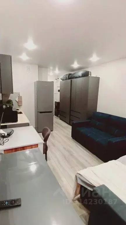 1-к кв. Свердловская область, Екатеринбург ул. Лыжников, 3 (25.0 м) - Фото 1