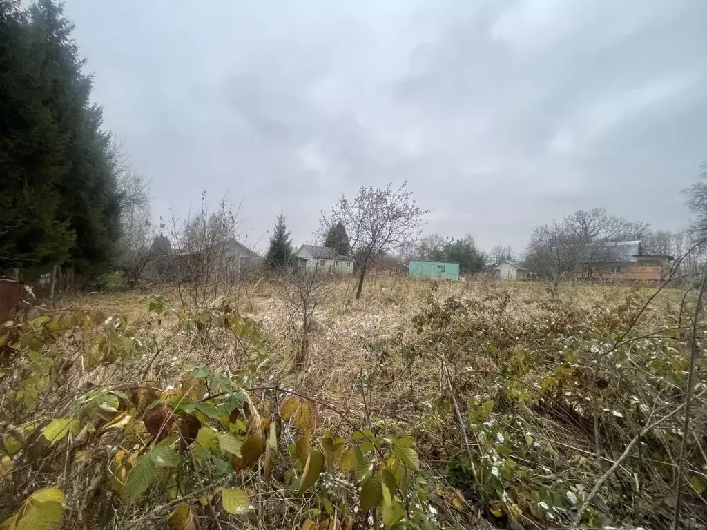 Участок в Московская область, Ступино городской округ, с. Починки ул. ... - Фото 0