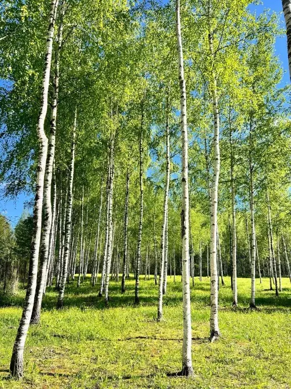 Дом в Владимирская область, Петушинский район, Нагорное муниципальное ... - Фото 0
