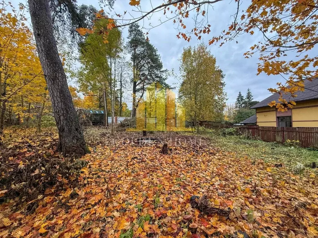 Участок в Санкт-Петербург, Санкт-Петербург, Красное Село Дудергоф ... - Фото 2