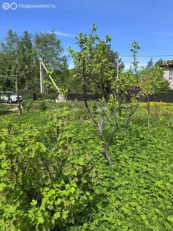 Участок в Сестрорецк, СНТ Разлив, 14-я дорожка (9 м) - Фото 1