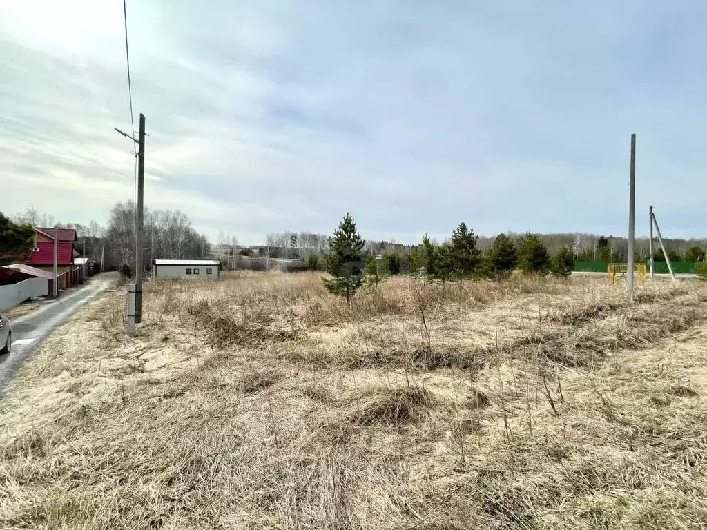 Участок в Тюменская область, Тюменский муниципальный округ, д. ... - Фото 2