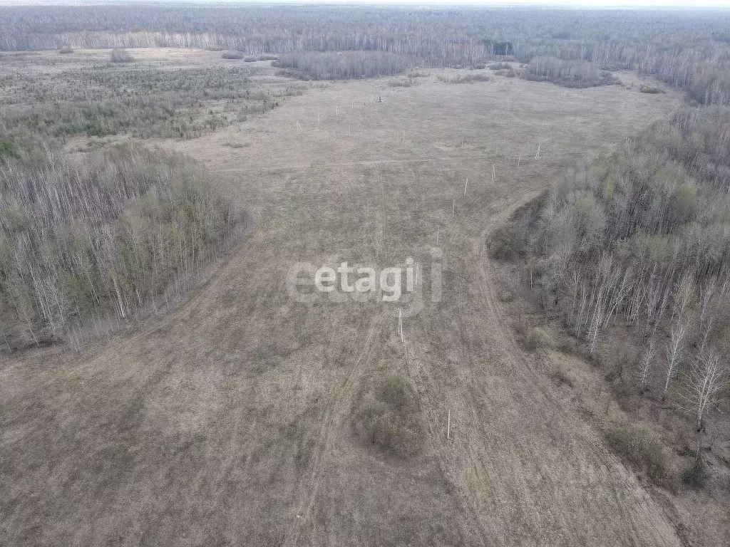 Участок в Тюменская область, Тюменский район, с. Горьковка  (13.1 ... - Фото 1