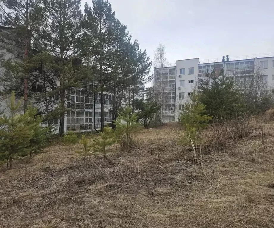 Участок в Иркутская область, Иркутский муниципальный округ, Маркова ... - Фото 1