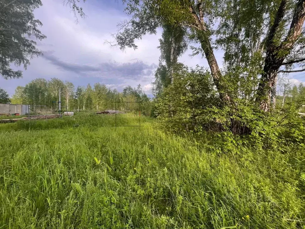 Участок в Новосибирская область, Новосибирский район, Березовский ... - Фото 0