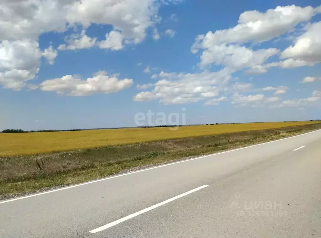 Участок в Крым, Черноморский район, с. Новоивановка ул. Ленина (746.0 ... - Фото 1