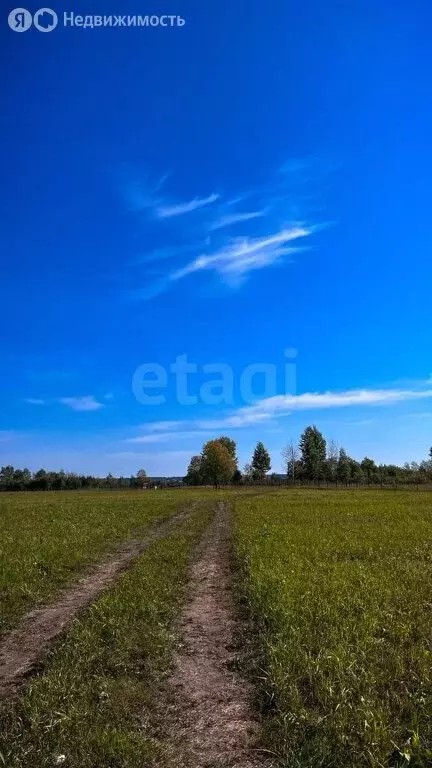 Участок в Колыванский район, ДНТ Сибирская Волость, Губернская улица ... - Фото 1