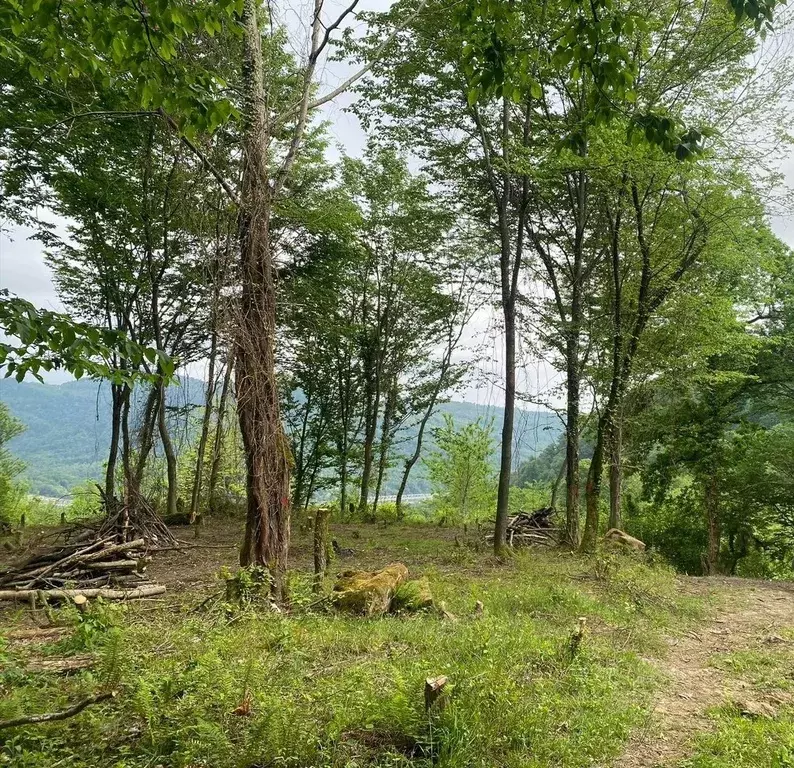 Участок в Краснодарский край, Сочи городской округ, с. Казачий Брод, ... - Фото 0