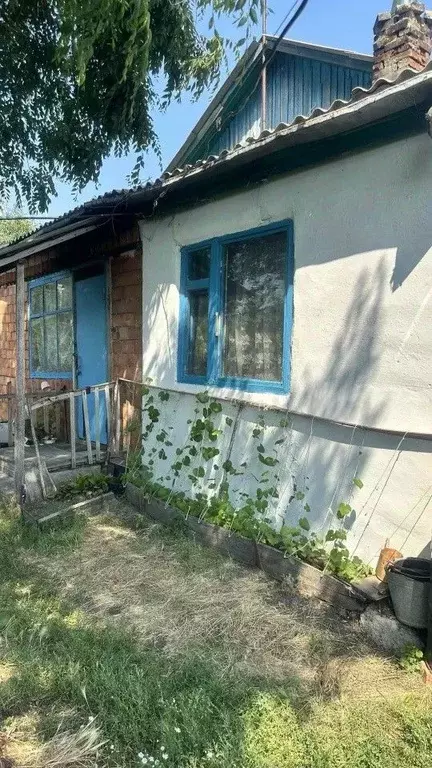 Дом в Омская область, Кормиловский район, д. Салтыковка ул. Мира, 11А ... - Фото 1