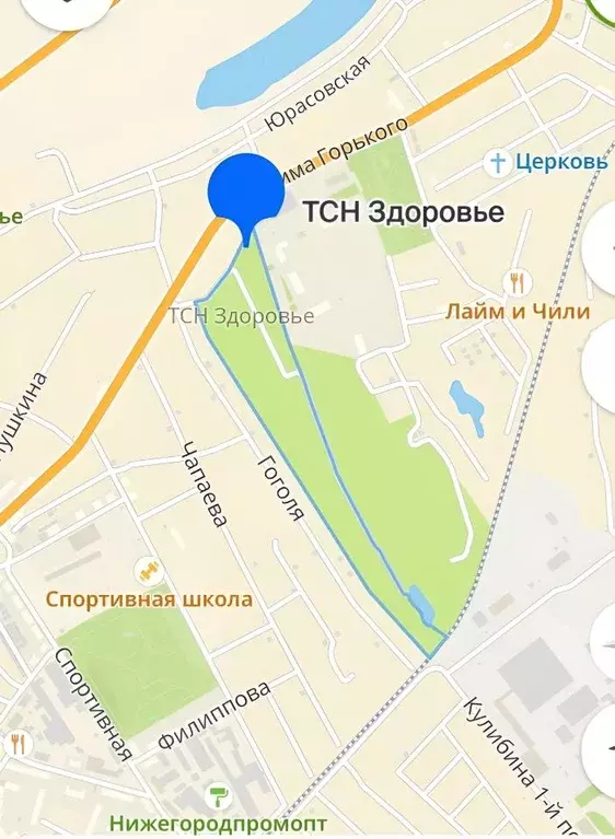 Участок в Нижегородская область, Бор Здоровье СНТ,  (5.0 сот.) - Фото 0