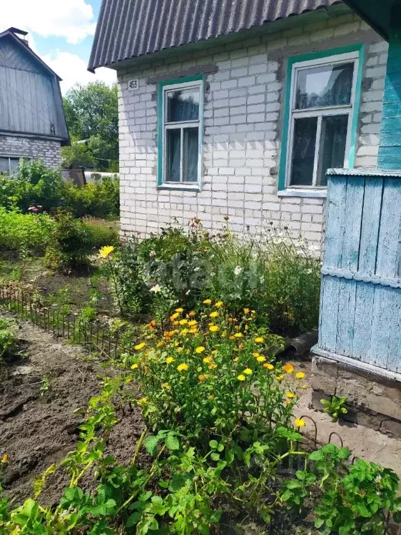 Дом в Брянская область, Брянский район, Нетьинское с/пос, Березовая ... - Фото 1