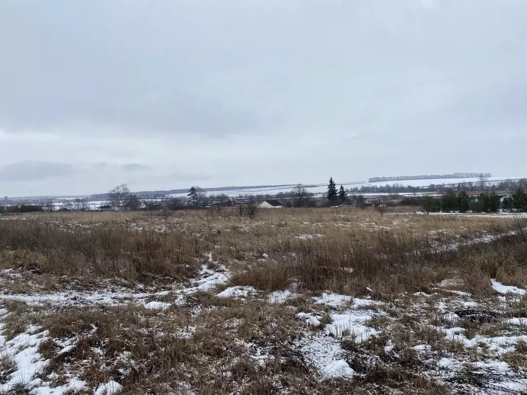 Участок в Московская область, Серебряные Пруды муниципальный округ, д. ... - Фото 0