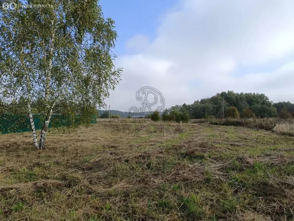 Участок в Богородский городской округ, деревня Черново (10 м) - Фото 2