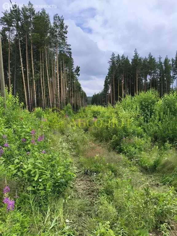 Участок в Свердловская область, Ревда (10.51 м) - Фото 1