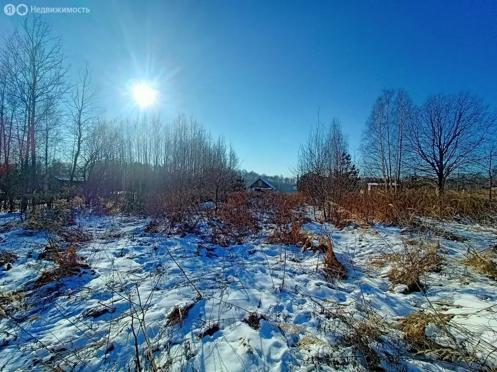 Участок в Судогодский район, муниципальное образование Вяткинское, ... - Фото 1