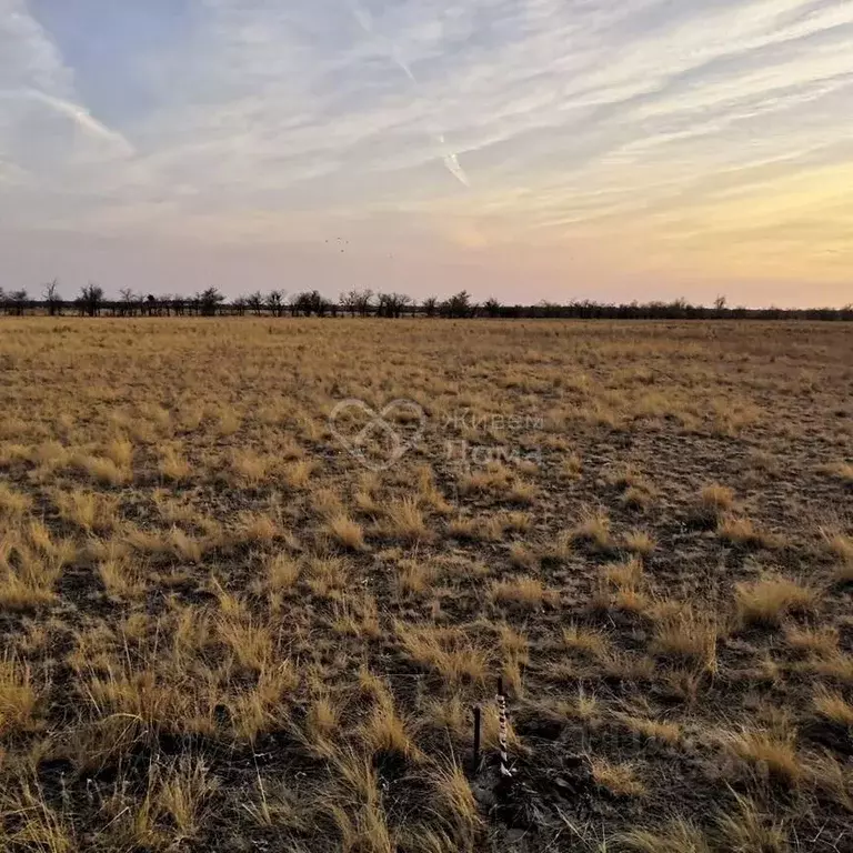 Участок в Волгоградская область, Волгоград Село Песчанка тер., ул. ... - Фото 1