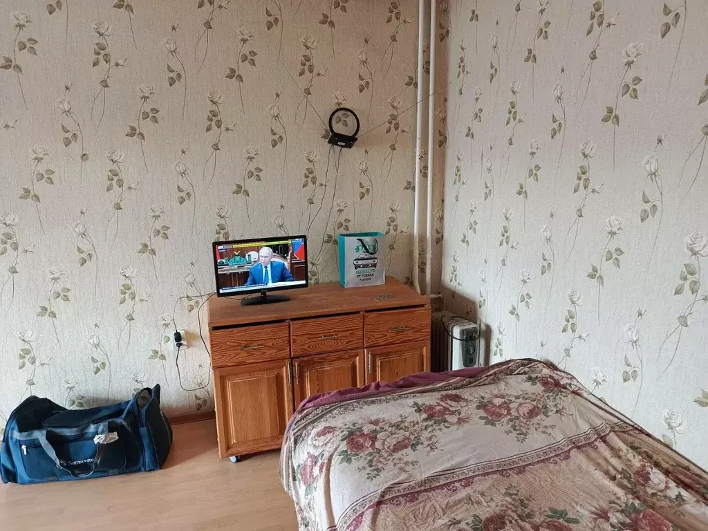 1-к кв. Псковская область, Псков Спортивная ул., 3 (30.5 м) - Фото 2