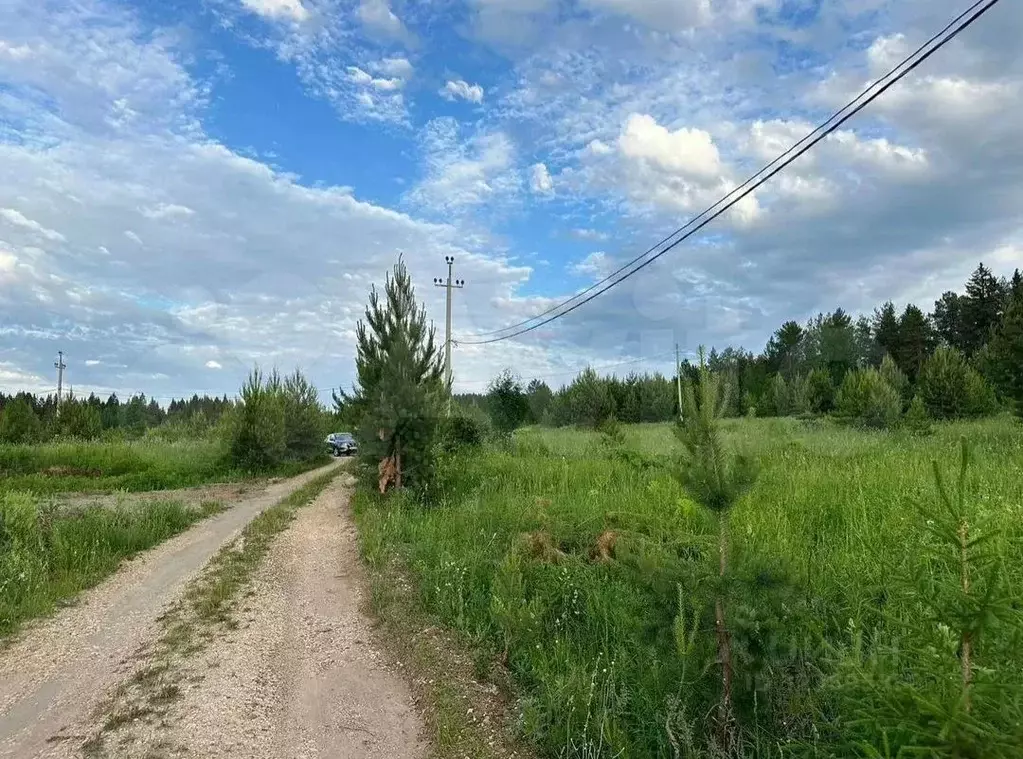 Участок в Пермский край, Краснокамский муниципальный округ, д. Трубино ... - Фото 1