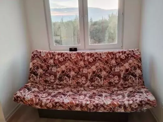 Студия Санкт-Петербург ул. Чарушинская, 32 (25.8 м) - Фото 1