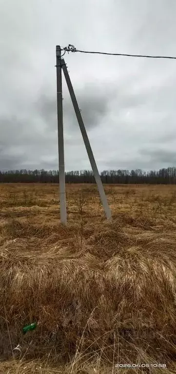 Участок в Новгородская область, Новгородский район, Ермолинское с/пос, ... - Фото 2