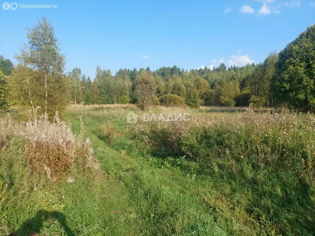 Участок в Выборгский район, Приморское городское поселение, посёлок ... - Фото 1