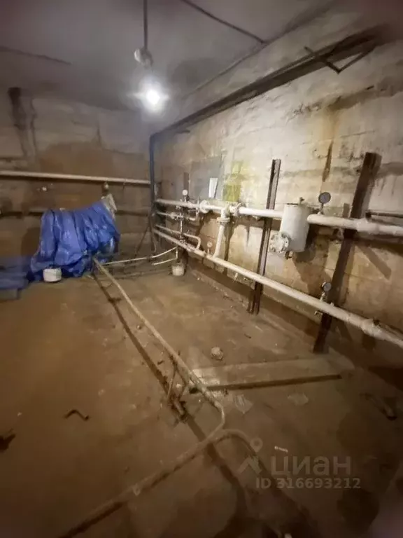 Помещение свободного назначения в Хабаровский край, Хабаровск ул. ... - Фото 1