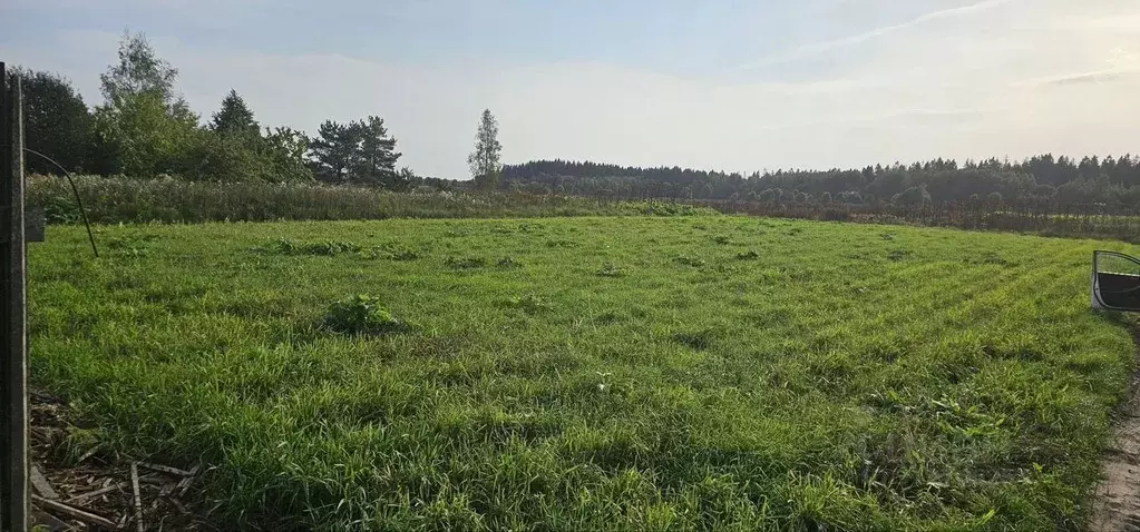 Участок в Ленинградская область, Волосовский район, Большеврудское ... - Фото 0