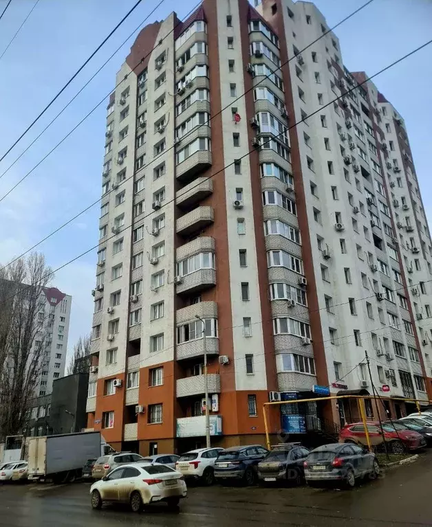 1-к кв. Саратовская область, Саратов проезд 1-й Магнитный, 8к2 (40.0 ... - Фото 1