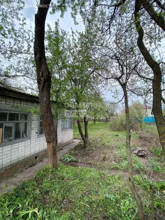 Участок в Липецк, СНТ Кооператор, 3-я линия, 82 (6.8 м) - Фото 2