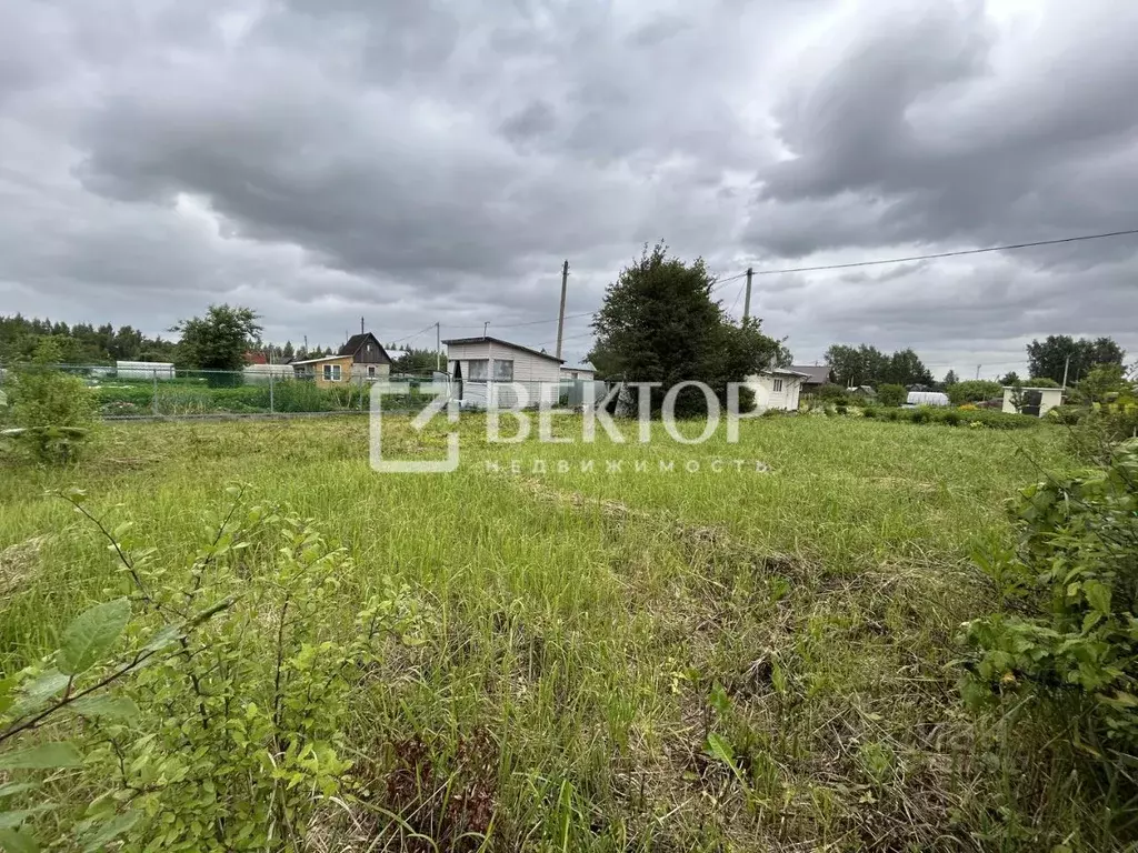 Участок в Костромская область, Костромской район, Сущевское с/пос, ... - Фото 2