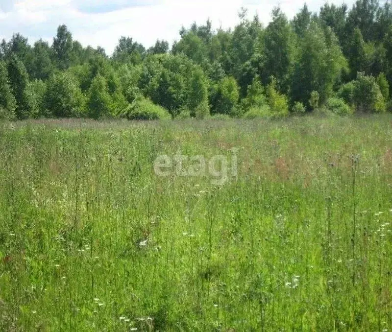 Участок в Ростовская область, Родионово-Несветайский район, ... - Фото 0