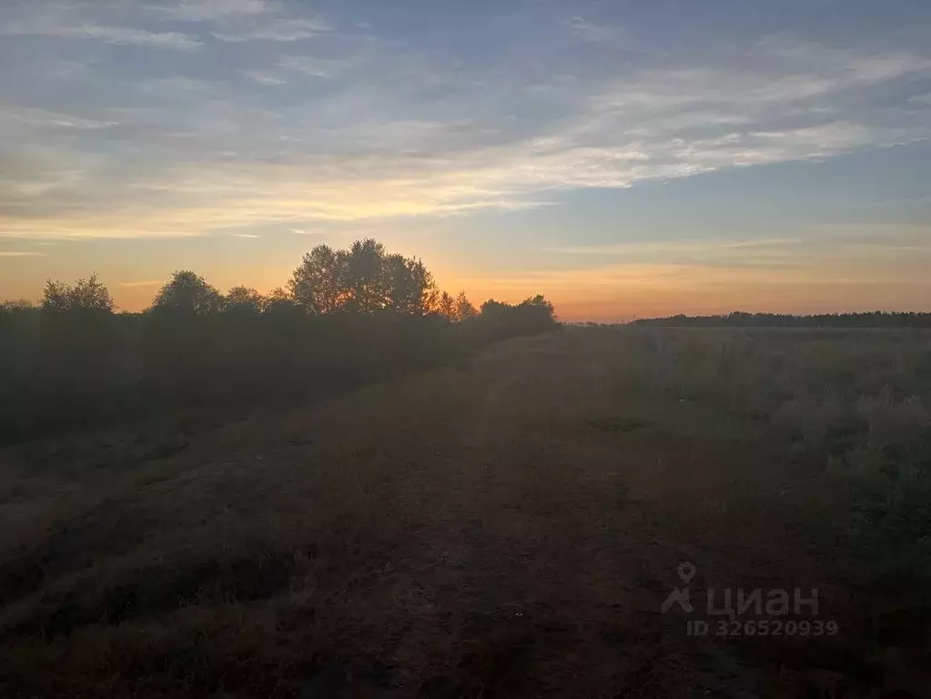 Участок в Омская область, Омский район муниципальный округ, ... - Фото 2
